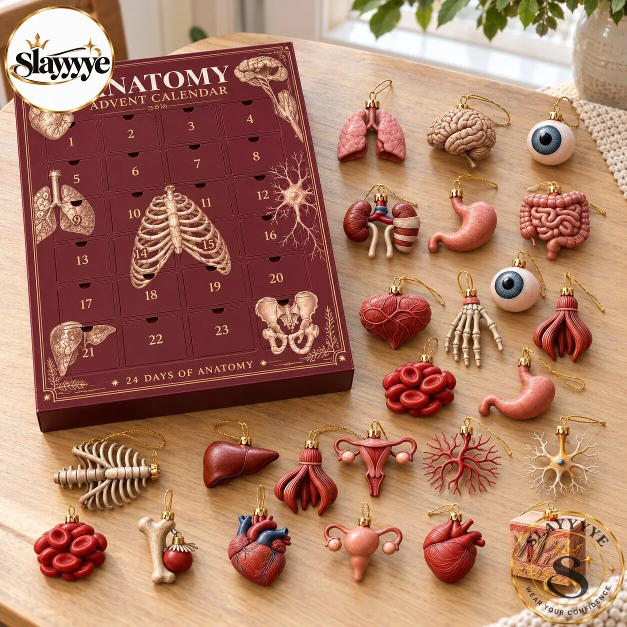 Anatomy Advent Calendar 24 Days of Organ Ornaments